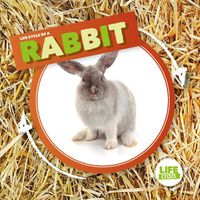 Cover image for Rabbit