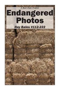 Cover image for Endangered Photos: Hay Bales #112-222