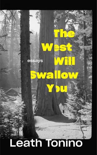 Cover image for The West Will Swallow You: Essays