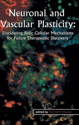 Cover image for Neuronal and Vascular Plasticity: Elucidating Basic Cellular Mechanisms for Future Therapeutic Discovery