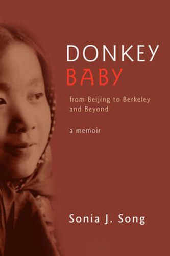 Cover image for Donkey Baby