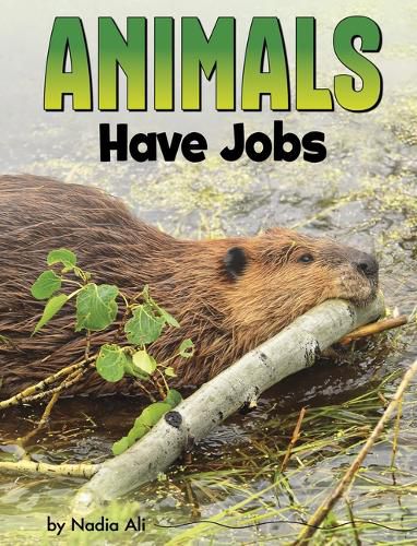 Cover image for Animals Have Jobs