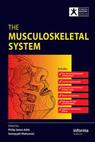 Cover image for The Musculoskeletal System