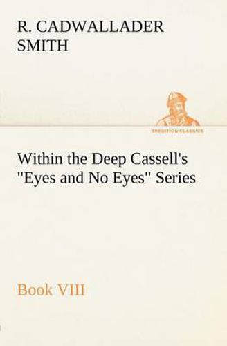 Cover image for Within the Deep Cassell's Eyes and No Eyes Series, Book VIII.