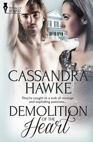 Cover image for Demolition of the Heart