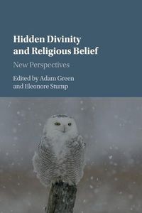Cover image for Hidden Divinity and Religious Belief: New Perspectives