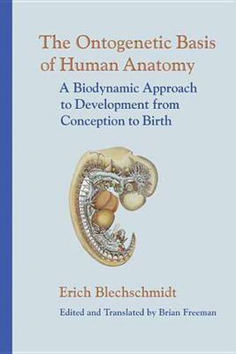 The Ontogenetic Basic of Human Anatomy: The Biodynamic Approach to Development from Conception to Adulthood