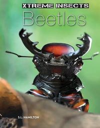 Cover image for Beetles