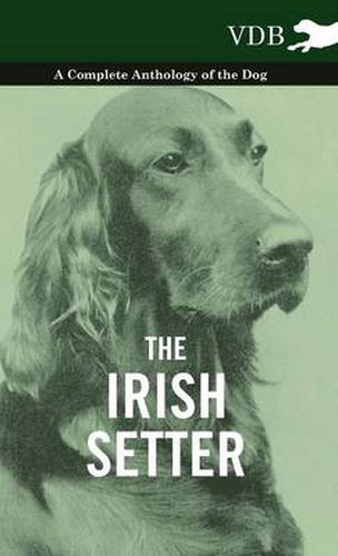 Cover image for The Irish Setter - A Complete Anthology of the Dog