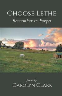 Cover image for Choose Lethe: Remember to Forget