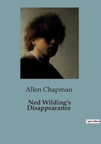 Cover image for Ned Wilding's Disappearance