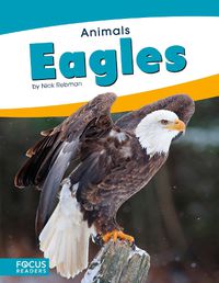 Cover image for Animals: Eagles