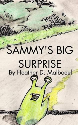 Cover image for Sammy's Big Surprise