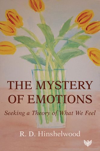 Cover image for The Mystery of Emotions: Seeking a Theory of What We Feel