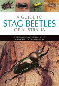 Cover image for A Guide to Stag Beetles of Australia