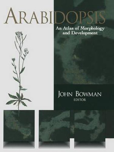 Cover image for Arabidopsis: An Atlas of Morphology and Development