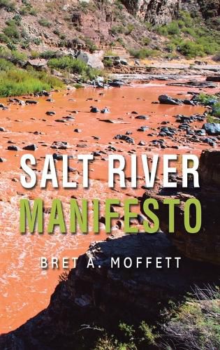 Cover image for Salt River Manifesto