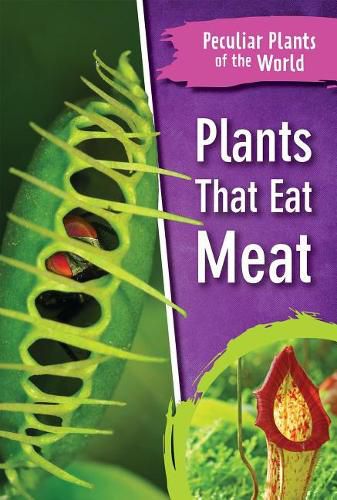 Cover image for Plants That Eat Meat