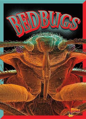 Cover image for Bedbugs