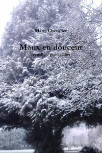 Cover image for Maux en douceur