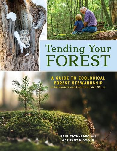 Cover image for Tending Your Forest
