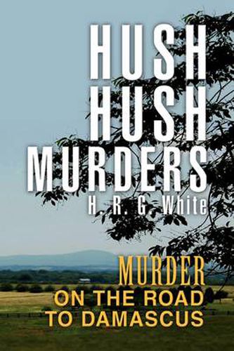 Cover image for Hush Hush Murders