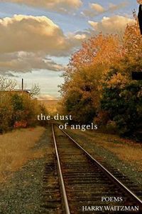 Cover image for Dust of Angels