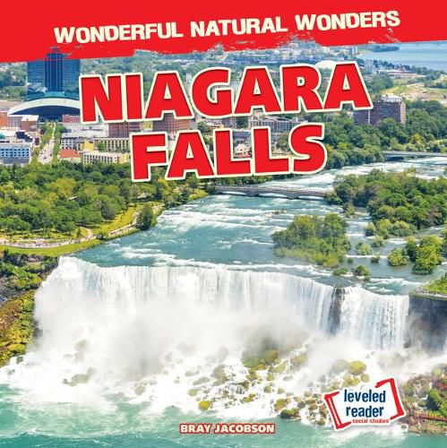 Cover image for Niagara Falls