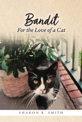 Cover image for Bandit