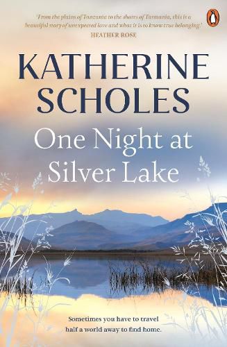 Cover image for One Night at Silver Lake