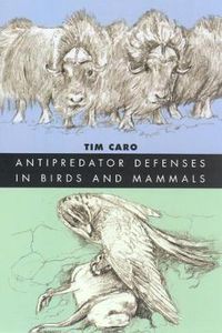 Cover image for Antipredator Defenses in Birds and Mammals