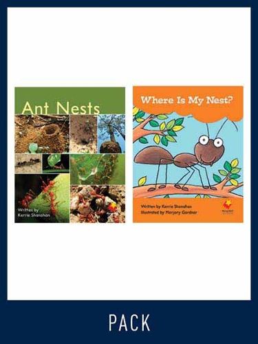 Cover image for Flying Start Guided Reading Pack Level 5, Pack 3: Paired student books (6x6) and lesson plan (1)