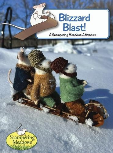 Cover image for Blizzard Blast