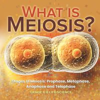 Cover image for What is Meiosis? Stages of Meiosis, Prophase, Metaphase, Anaphase and Telophase Grade 6-8 Life Science