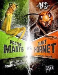 Cover image for Praying Mantis VS Giant Hornet: Battle Of The Powerful Predators