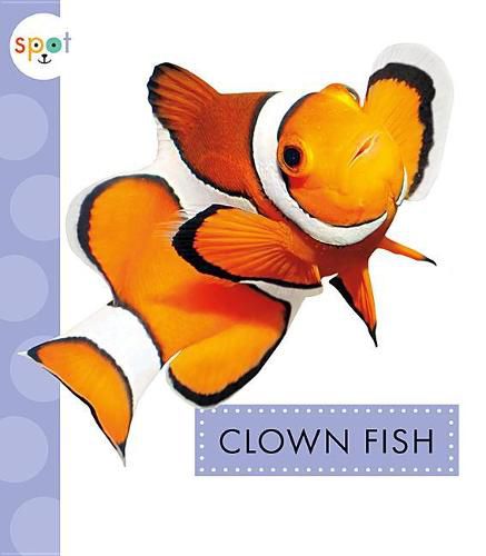 Cover image for Clown Fish