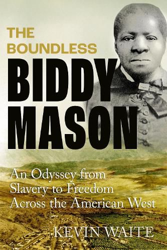 Cover image for The Boundless Biddy Mason