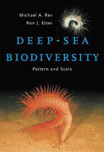 Cover image for Deep-Sea Biodiversity: Pattern and Scale