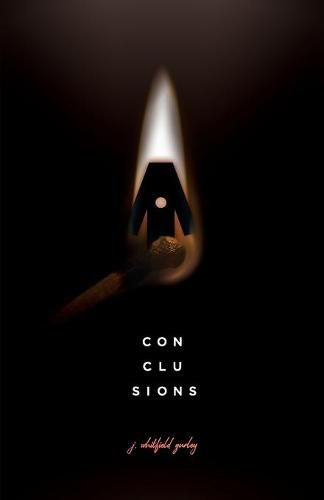 Cover image for Conclusions