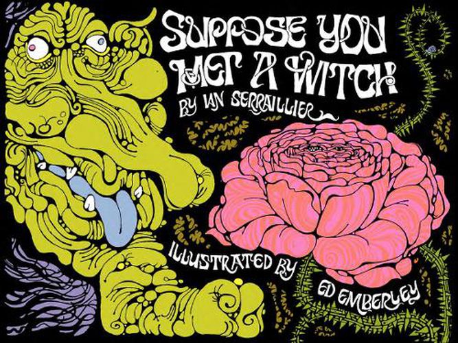 Cover image for Suppose You Met a Witch
