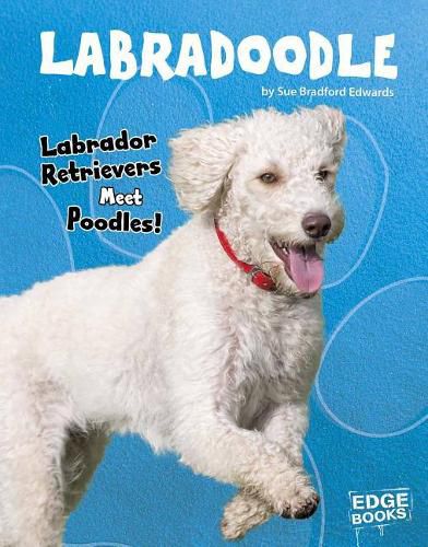 Cover image for Labradoodle: Labrador Retrievers Meet Poodles!
