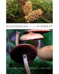 Cover image for Mushrooms of the Midwest