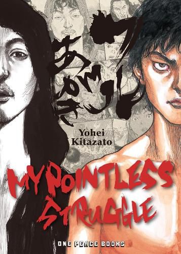 Cover image for My Pointless Struggle
