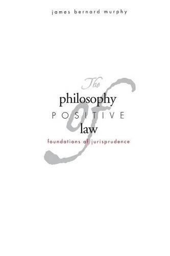 Cover image for The Philosophy of Positive Law: Foundations of Jurisprudence