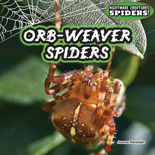 Orb-Weaver Spiders