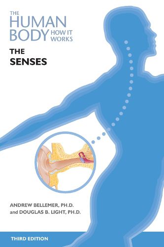 Cover image for The Senses