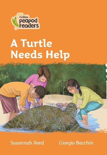 Level 4 - A Turtle Needs Help