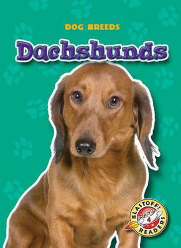 Dachshunds