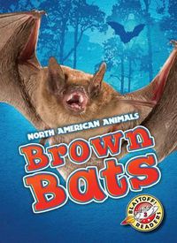 Cover image for Brown Bats