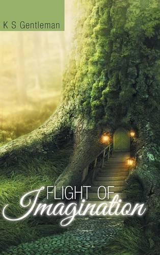 Cover image for Flight of Imagination